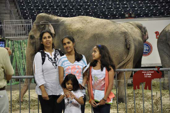 Images from the Ringling Bros. and Barnum and...